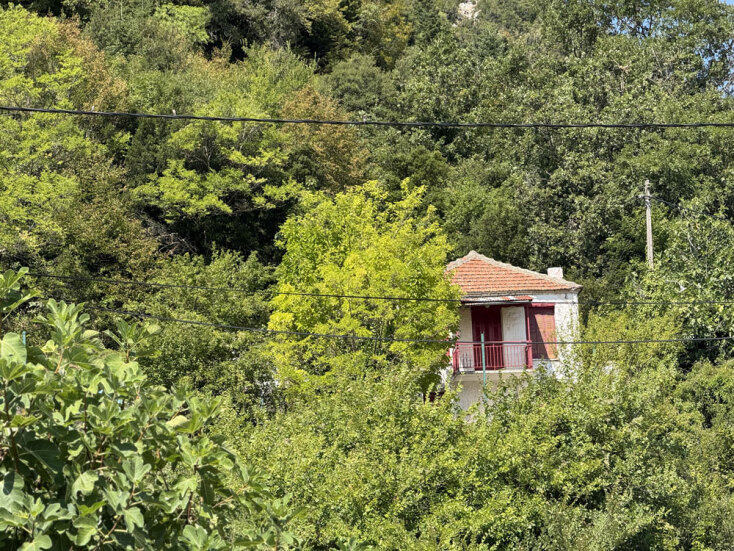 Διπλάτανος Αιτωλοακαρνανία