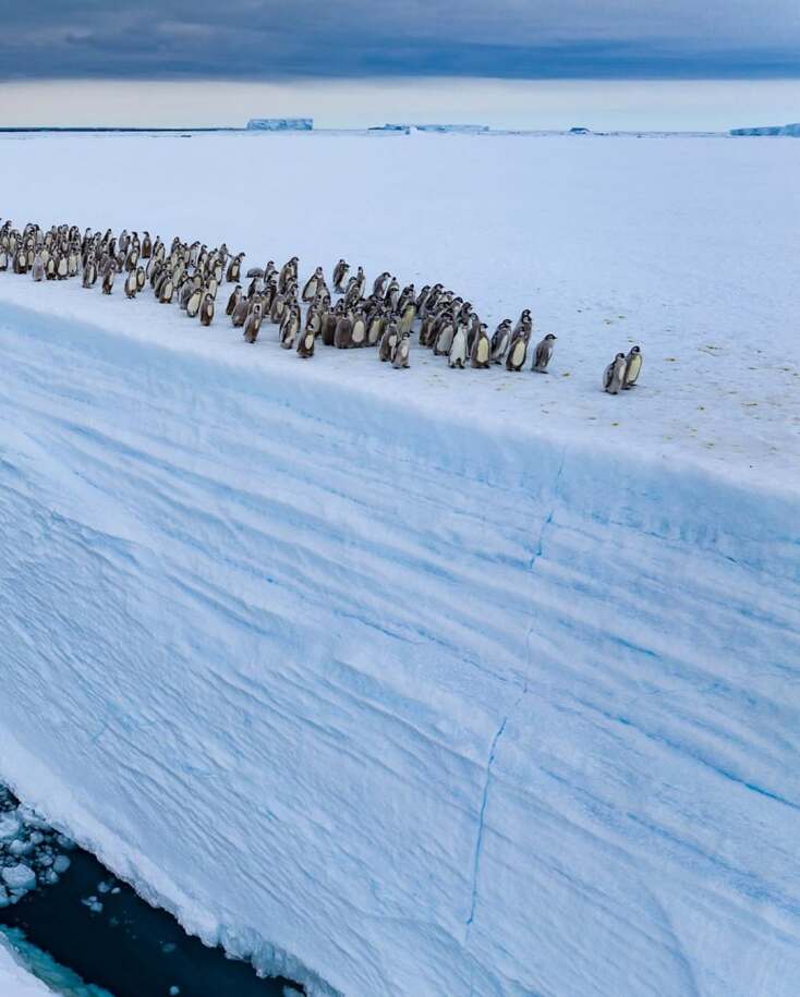 Wildlife Photographer of the Year 2025: Οι δέκα καλύτερες φωτογραφίες μέχρι τώρα