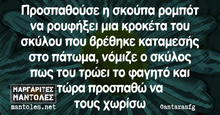 [Εικόνα: yolo-oikogeneiakes-istories.webp]