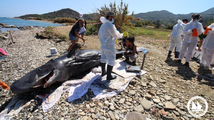 Νεαρός φυσητήρας εκβράστηκε νεκρός στη Σάμο