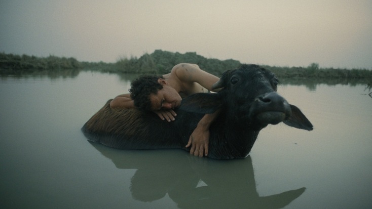 Beneath Which Rivers Flow, Ali Yahya 