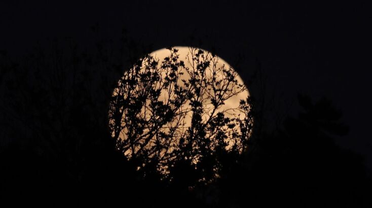 Ματωμένο φεγγάρι