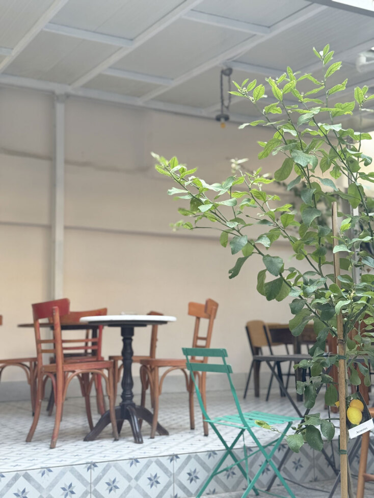 Αφούσης | Εξάρχεια