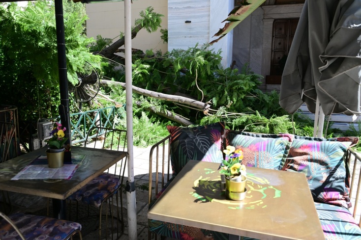 Εικόνες από τη σημείο της πτώσης του δέντρου στο κέντρο της Αθήνας