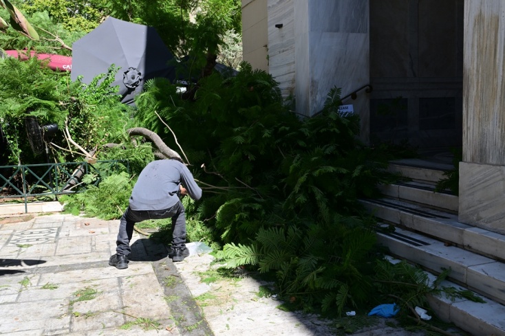 Εικόνες από τη σημείο της πτώσης του δέντρου στο κέντρο της Αθήνας
