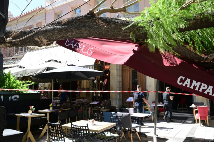 Εικόνες από τη σημείο της πτώσης του δέντρου στο κέντρο της Αθήνας
