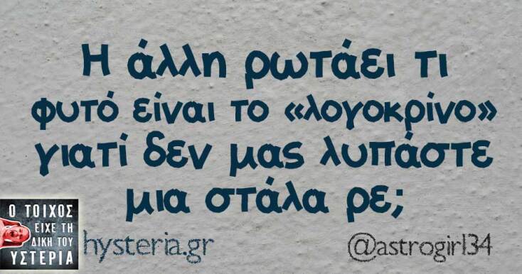 Αστεία memes, ατάκες, YOLO βίντεο, viral, αστεία video στο TikTok που ανέβηκαν στο διαδίκτυο και μας έκαναν να γελάσουμε.