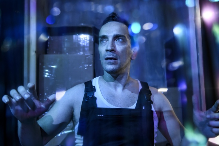 «Οι στρακαστρούκες», Μικρό Γκλόρια