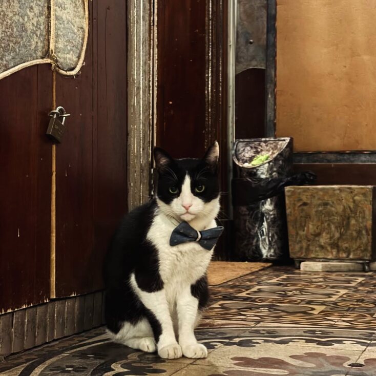 Ο Ενοχούλης, μασκότ του καφέ Ενοχές