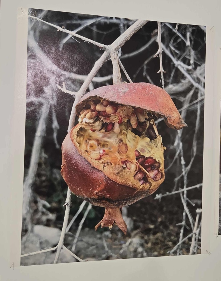 Juergen Teller, You are invited στο Onassis Ready