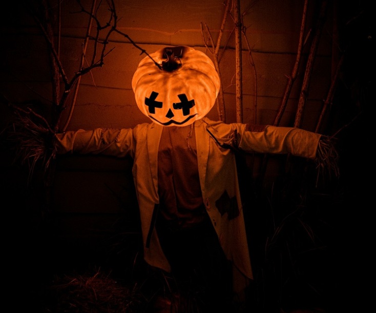 Halloween, κολοκυθες