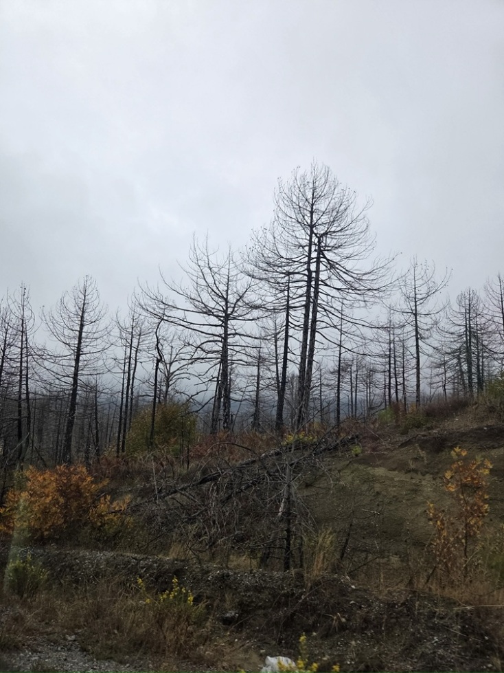 Τοπίο στη Βόρεια Εύβοια 