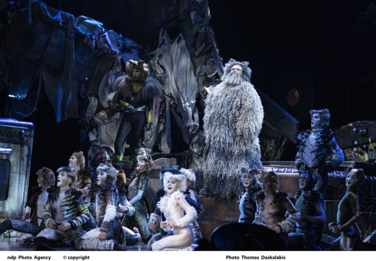 Cats στο Christmas Theater