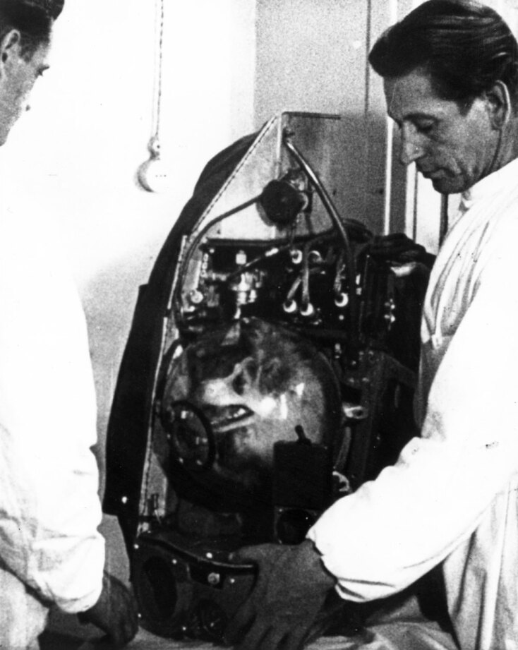 5 Νοεμβρίου 1957, η Λάικα, τοποθετείτε στην κάψουλα Σπούτνικ 2, η οποία πιθανότατα θα καεί κατά την επανείσοδο