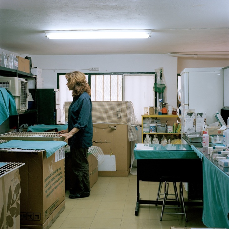 Interludes της Αγγελικής Σβορώνου στο House of Lucie Athens