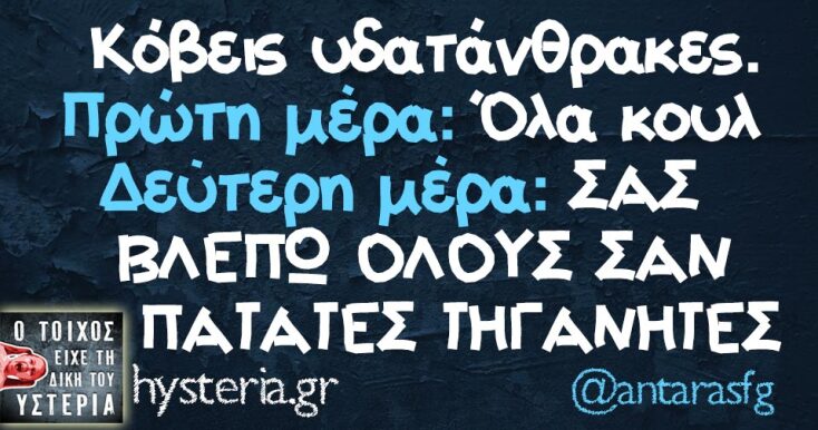 Αστεία memes, ατάκες, YOLO βίντεο, viral, αστεία video στο TikTok που ανέβηκαν στο διαδίκτυο και μας έκαναν να γελάσουμε.