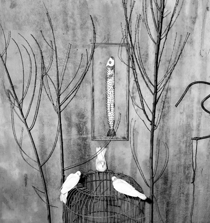 Ρότζερ Μπάλεν, «Ambience»