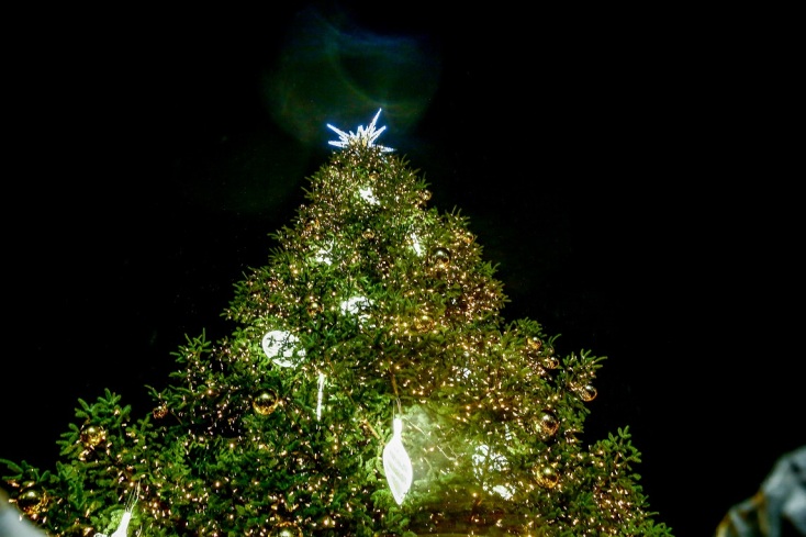 Φωταγωγήθηκε το χριστουγεννιάτικο δέντρο στο Σύνταγμα