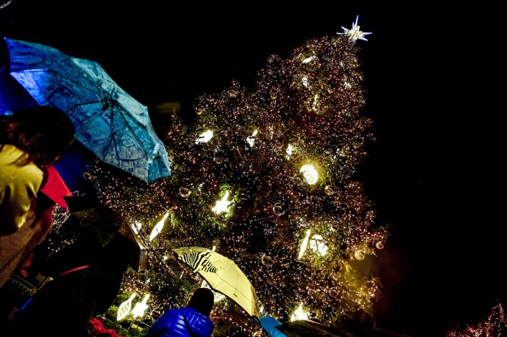 Φωταγωγήθηκε το χριστουγεννιάτικο δέντρο στο Σύνταγμα