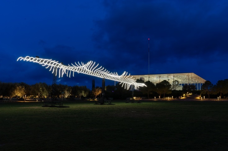 «Bird Passing By», Ξέφωτο