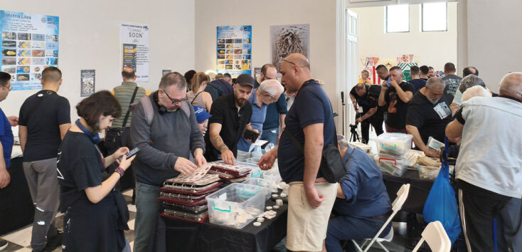 Συλλεκτική Έκθεση Αθηνών 2025