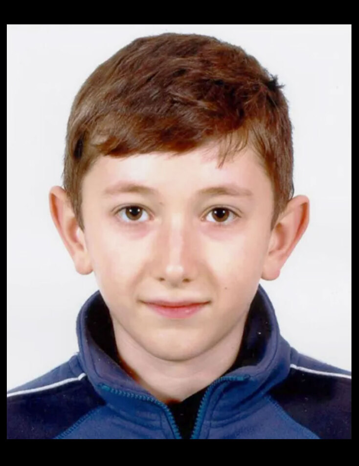 Η εξαφάνιση του Άλεξ Μεσχισβίλι