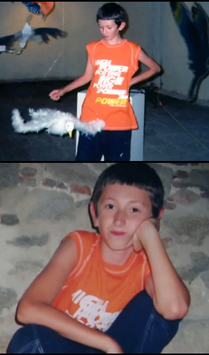 Η εξαφάνιση του Άλεξ Μεσχισβίλι