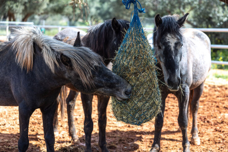 Kaizen Gaming | Ιστορίες που μας ενώνουν