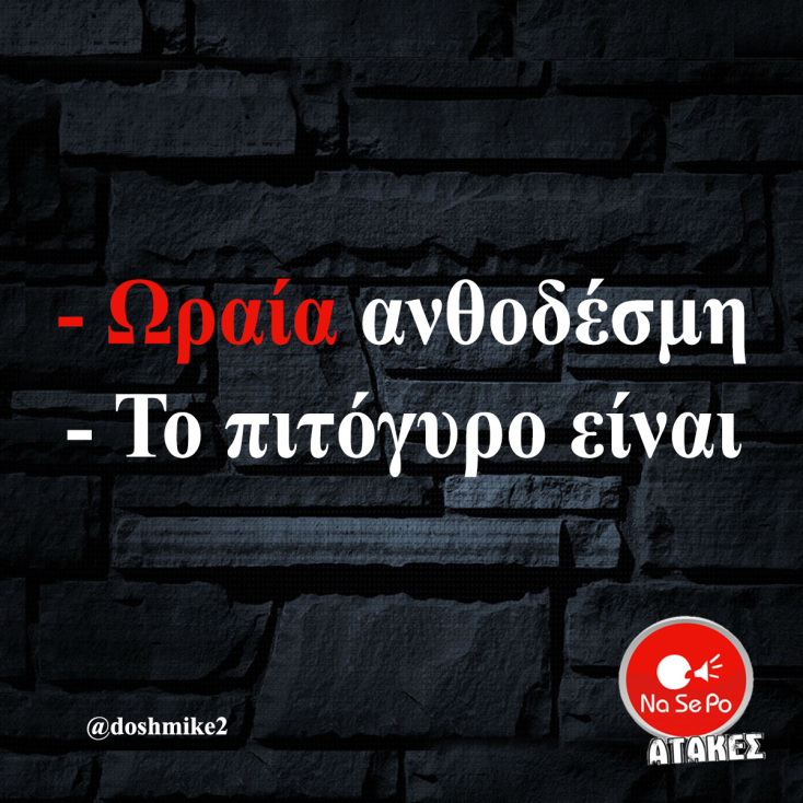 Αστεία memes, ατάκες, YOLO βίντεο, viral, αστεία video στο TikTok που ανέβηκαν στο διαδίκτυο και μας έκαναν να γελάσουμε.