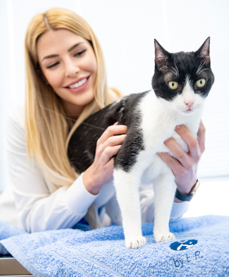 Κτηνίατρος, Δρ. Έφη Ρόζη