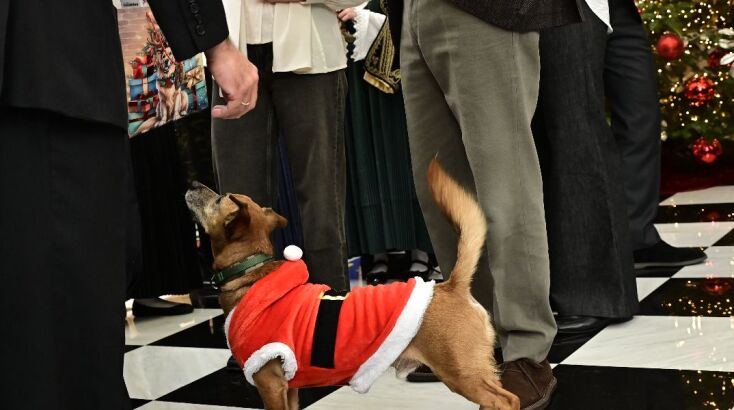 Έκλεψε τις εντυπώσεις ο Πίνατ στο Μαξίμου
