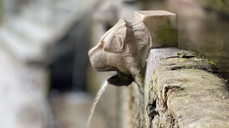 Από το πρόγραμμα: Παραδοσιακές πρακτικές διαχείρισης νερού στον κεντρικό ορεινό όγκο της Άνδρου: Δράσεις καταγραφής, διαφύλαξης ερμηνείας & ανάδειξης Στο νησί: Άνδρος