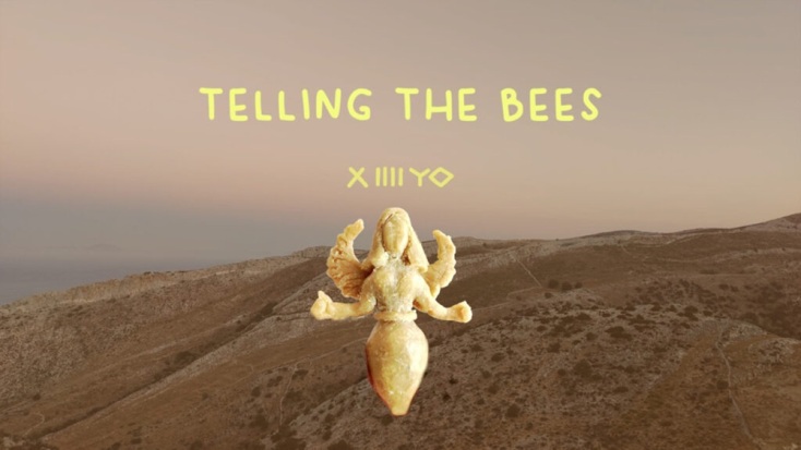 Κυριακή Γονή, Telling the bees, the game