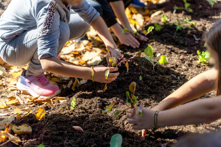 Carbon Farming Schools 2025 | ΔΕΗ - Open Farm