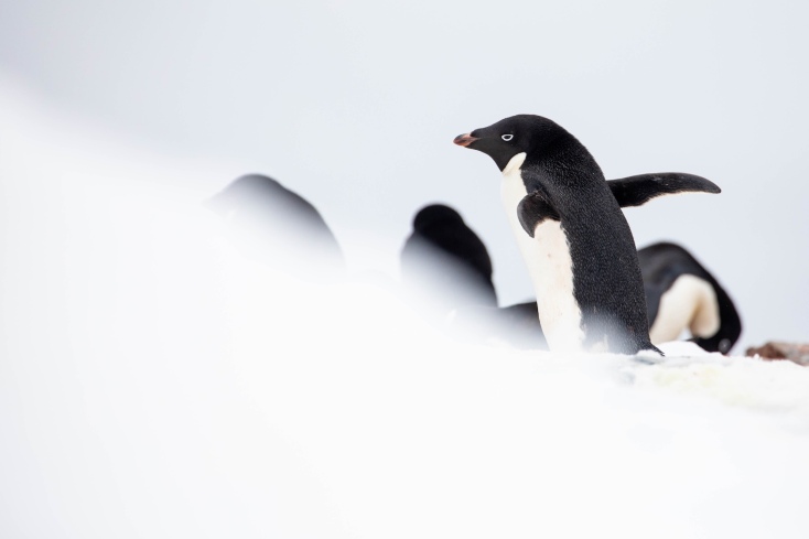 Poetics: Ο θαυμαστός immersive νέος κόσμος των Βύρωνα και Ηλία Χρυσοβέργη