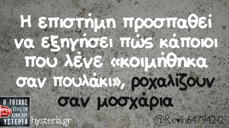 Αστεία memes, ατάκες, YOLO βίντεο, viral, αστεία video στο TikTok που ανέβηκαν στο διαδίκτυο και μας έκαναν να γελάσουμε.