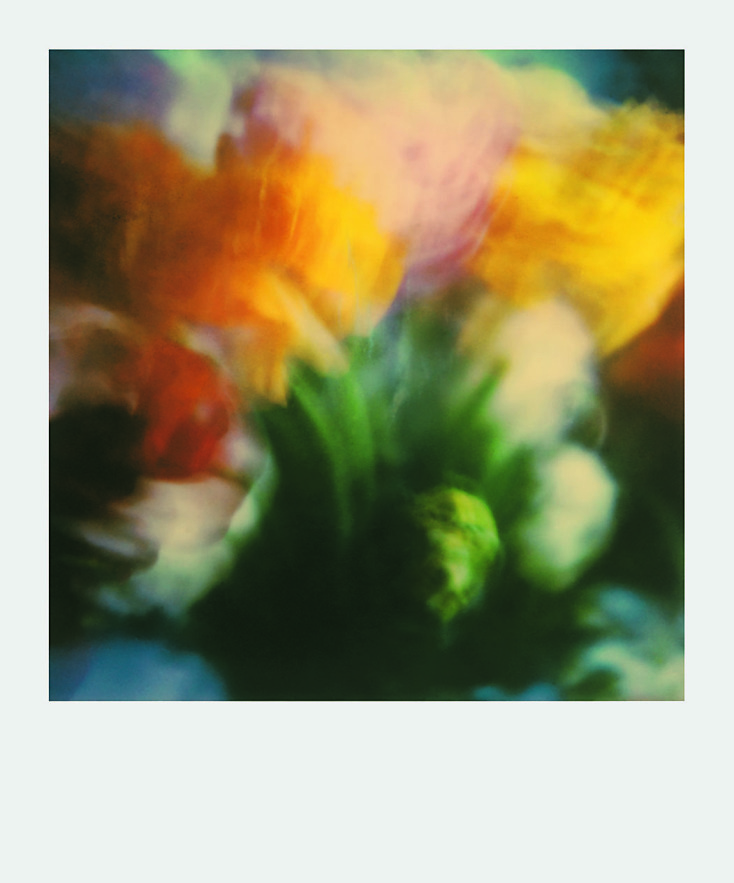 Ελισάβετ Μωράκη, Untitled