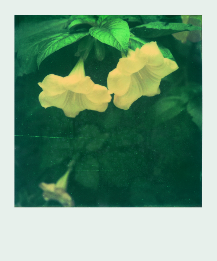 Ελισάβετ Μωράκη, Untitled