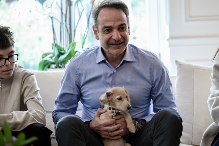 Ο Κυριάκος Μητσοτάκης υποδέχθηκε Έλληνες πολίτες που επαναπατρίστηκαν μαζί με ταζωάκια τους