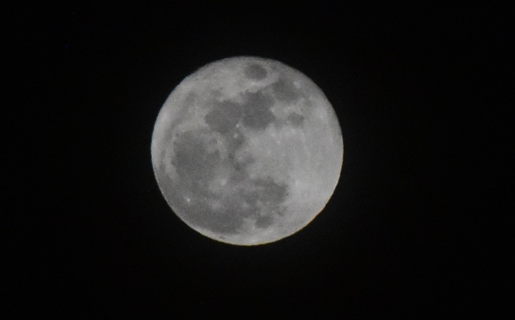 Ροζ Πανσέληνος Απριλίου 2026