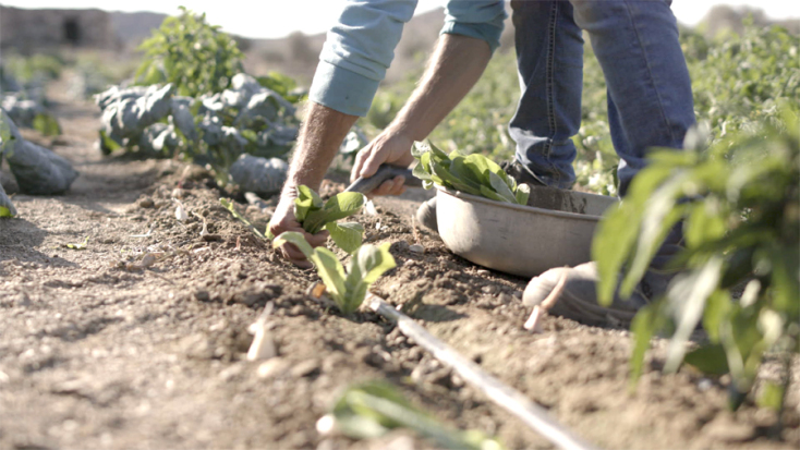 Cycladic Identity: Τρεις εκδηλώσεις στην Πάρο για την τοπική κοινωνία - 18 και 19 Απριλίου