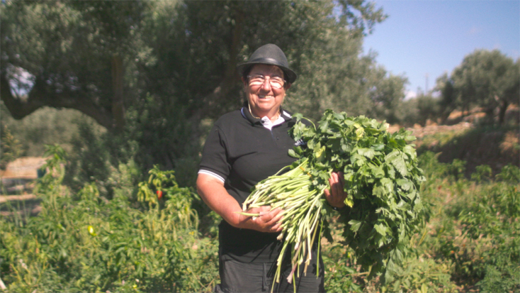 Cycladic Identity: Τρεις εκδηλώσεις στην Πάρο για την τοπική κοινωνία - 18 και 19 Απριλίου