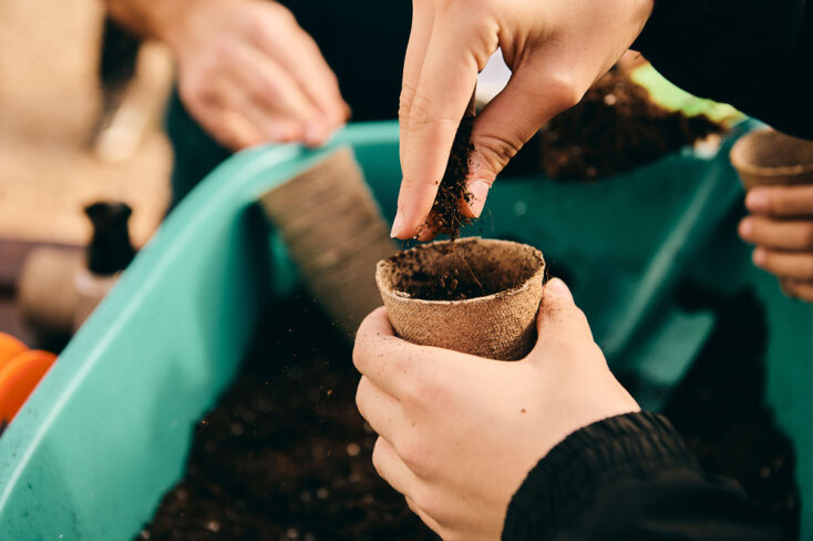 Αναδάσωση της Motor Oil