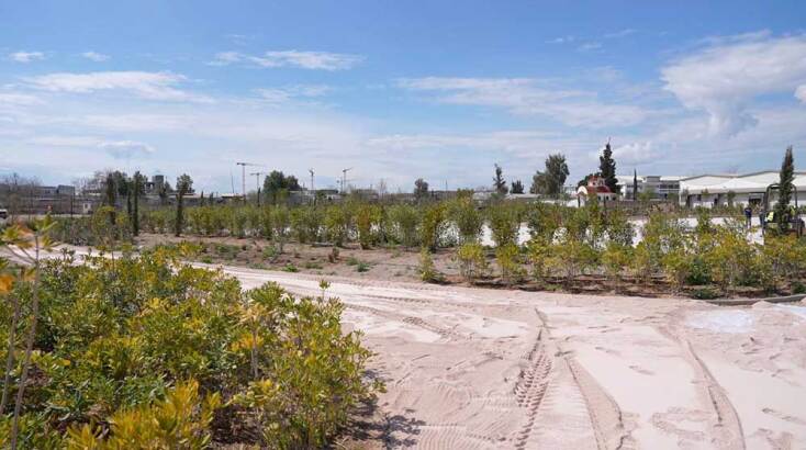 Συνεχίζονται οι εργασίες για το νέο πάρκο πρασίνου στον Ελαιώνα