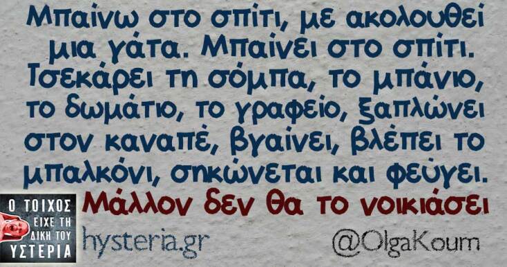 Αστεία memes, ατάκες, YOLO βίντεο, viral, αστεία video στο TikTok που ανέβηκαν στο διαδίκτυο και μας έκαναν να γελάσουμε.