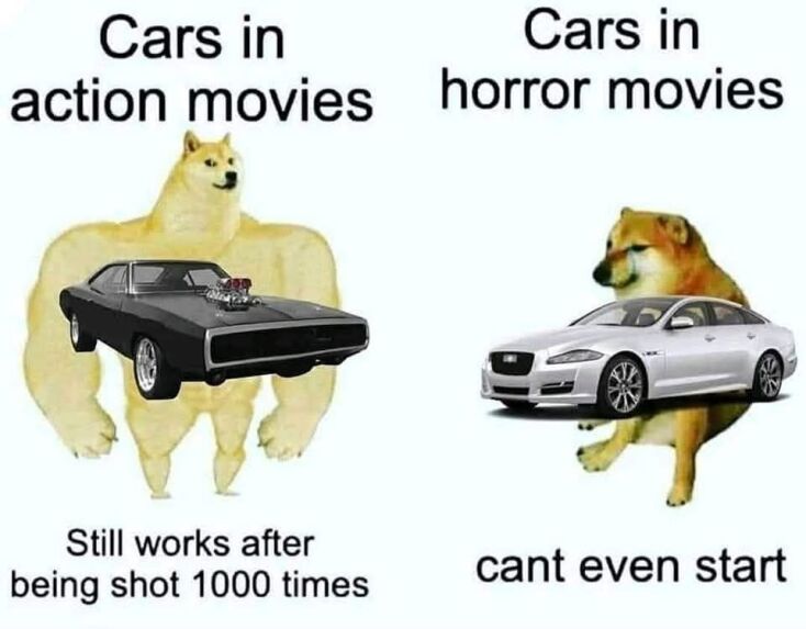 Αστεία memes, ατάκες, YOLO βίντεο, viral, αστεία video στο TikTok που ανέβηκαν στο διαδίκτυο και μας έκαναν να γελάσουμε.