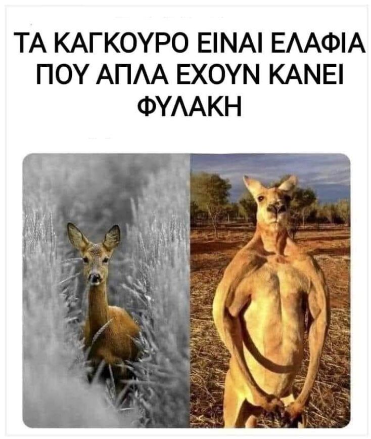 Αστεία memes, ατάκες, YOLO βίντεο, viral, αστεία video στο TikTok που ανέβηκαν στο διαδίκτυο και μας έκαναν να γελάσουμε.