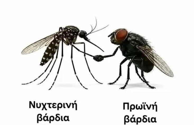 Αστεία memes, ατάκες, YOLO βίντεο, viral, αστεία video στο TikTok που ανέβηκαν στο διαδίκτυο και μας έκαναν να γελάσουμε.