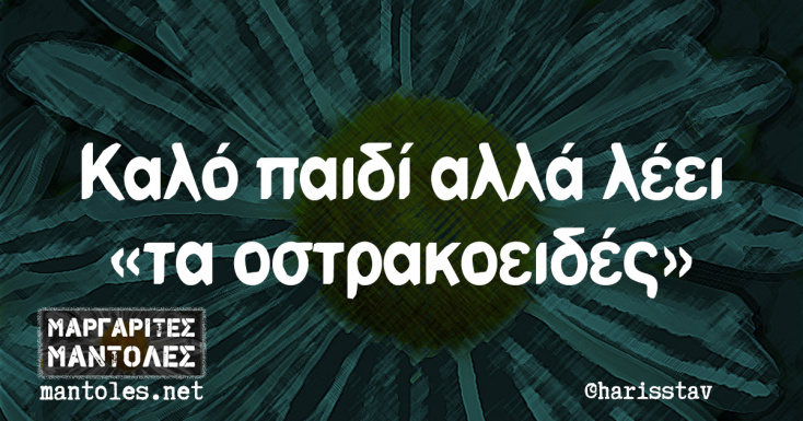 Αστεία memes, ατάκες, YOLO βίντεο, viral, αστεία video στο TikTok που ανέβηκαν στο διαδίκτυο και μας έκαναν να γελάσουμε.