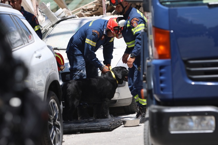 Ειδικός σκύλος στις έρευνες για τυχόν εγκλωβισμένους στα συντρίμμια της πολυκατοικίας